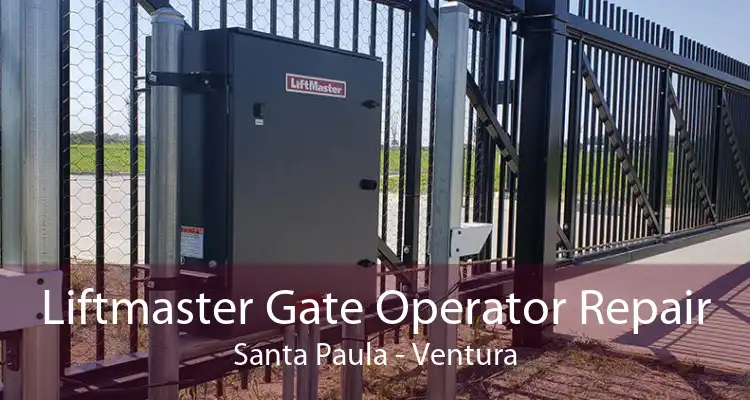 Liftmaster Gate Operator Repair Santa Paula - Ventura