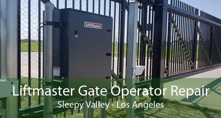 Liftmaster Gate Operator Repair Sleepy Valley - Los Angeles