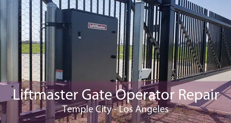 Liftmaster Gate Operator Repair Temple City - Los Angeles