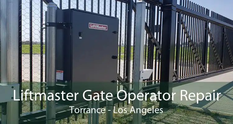 Liftmaster Gate Operator Repair Torrance - Los Angeles