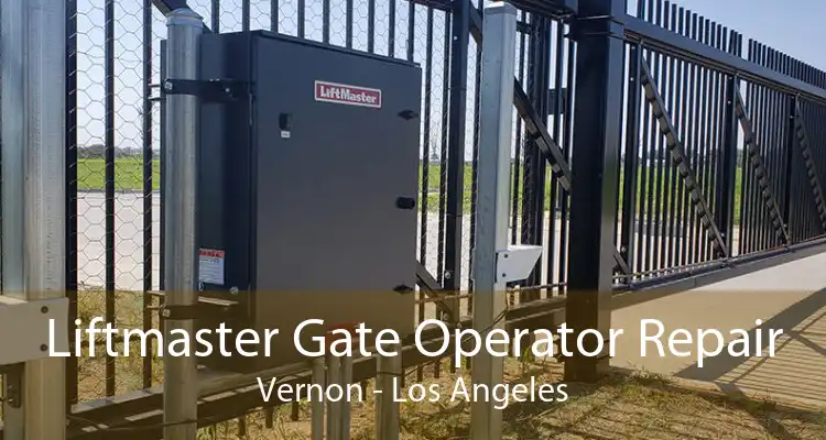 Liftmaster Gate Operator Repair Vernon - Los Angeles