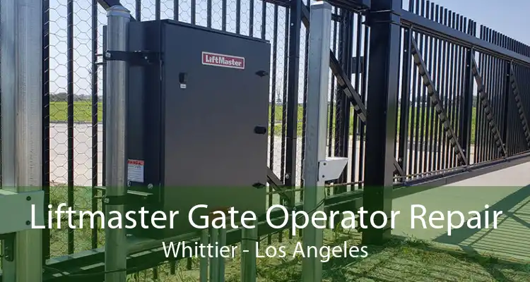 Liftmaster Gate Operator Repair Whittier - Los Angeles