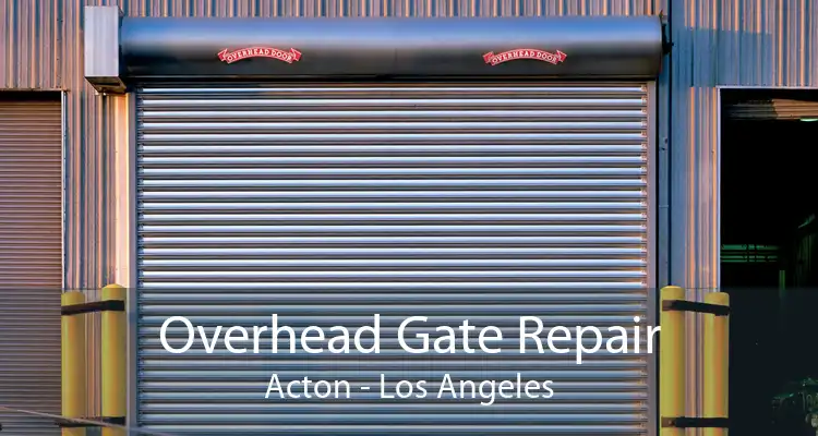 Overhead Gate Repair Acton - Los Angeles