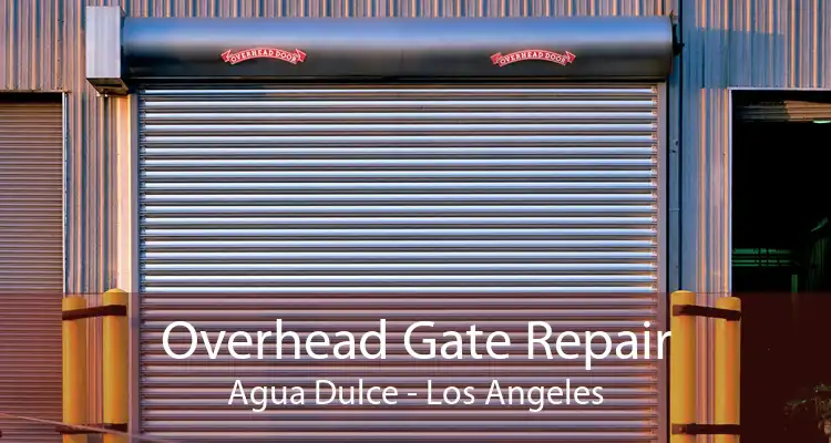 Overhead Gate Repair Agua Dulce - Los Angeles