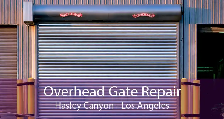 Overhead Gate Repair Hasley Canyon - Los Angeles