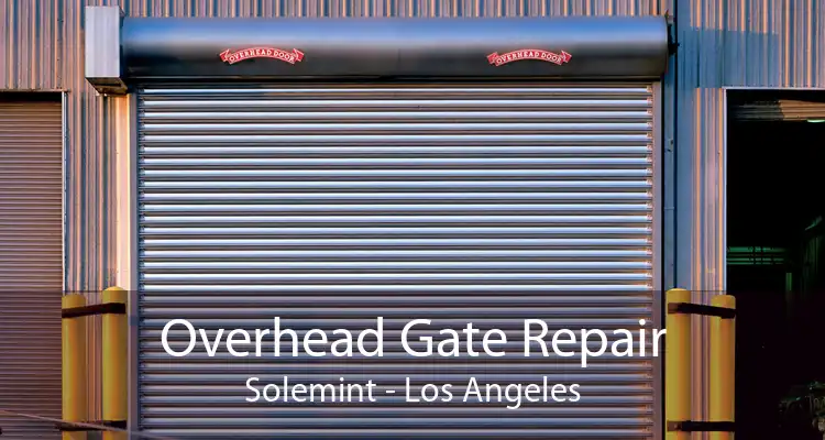 Overhead Gate Repair Solemint - Los Angeles