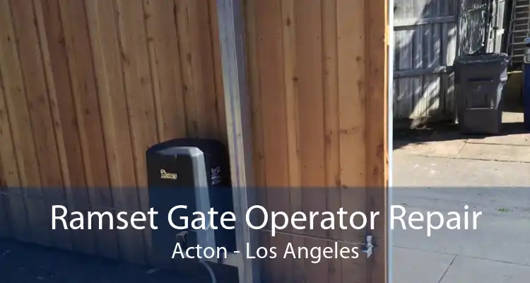 Ramset Gate Operator Repair Acton - Los Angeles