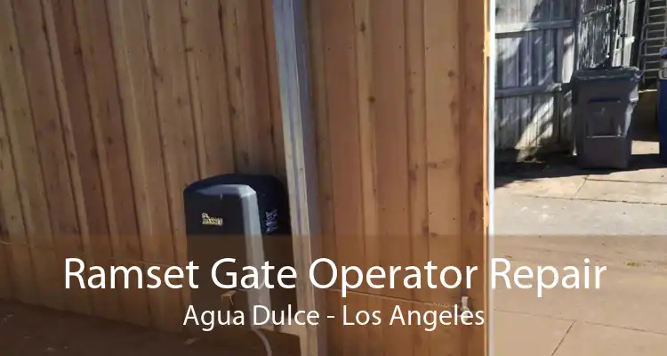 Ramset Gate Operator Repair Agua Dulce - Los Angeles