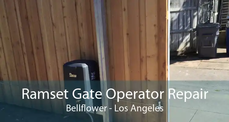 Ramset Gate Operator Repair Bellflower - Los Angeles