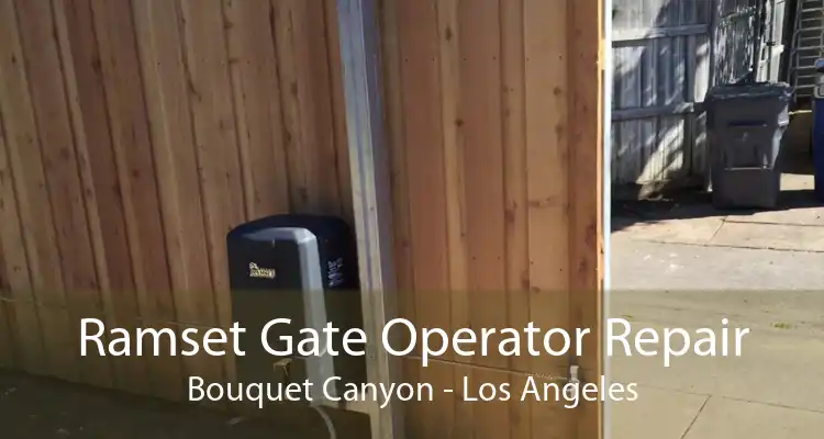 Ramset Gate Operator Repair Bouquet Canyon - Los Angeles