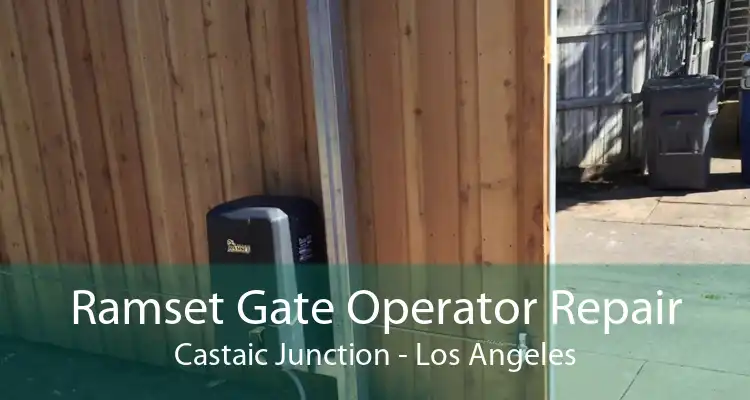 Ramset Gate Operator Repair Castaic Junction - Los Angeles