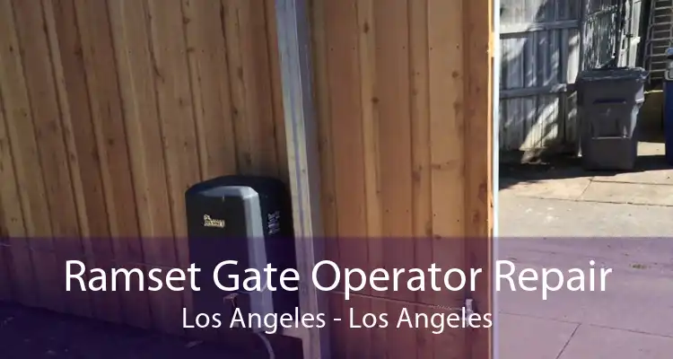 Ramset Gate Operator Repair Los Angeles - Los Angeles