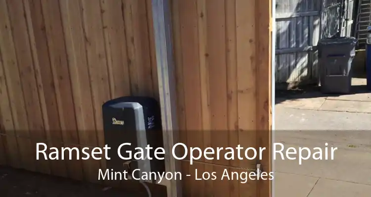 Ramset Gate Operator Repair Mint Canyon - Los Angeles