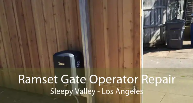 Ramset Gate Operator Repair Sleepy Valley - Los Angeles