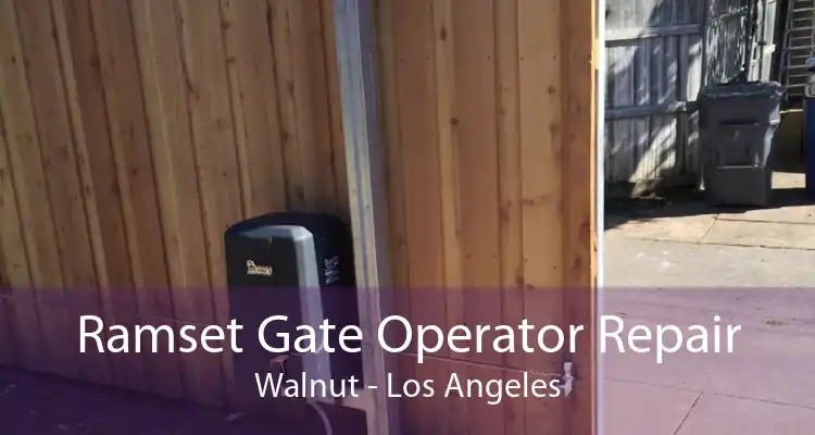 Ramset Gate Operator Repair Walnut - Los Angeles