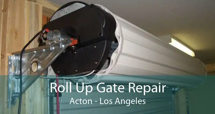 Roll Up Gate Repair Acton - Los Angeles