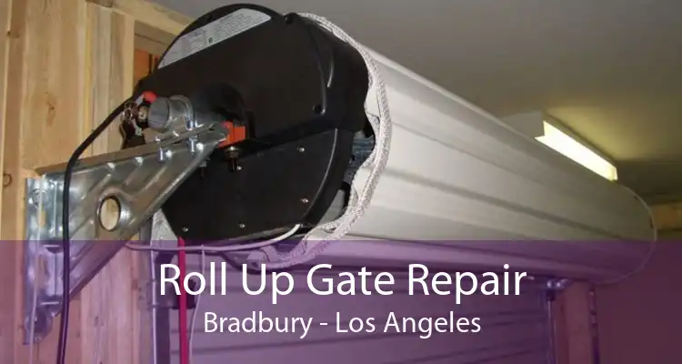 Roll Up Gate Repair Bradbury - Los Angeles