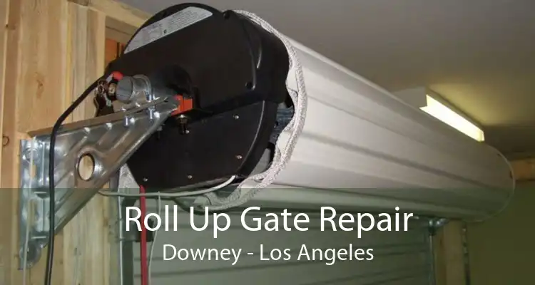 Roll Up Gate Repair Downey - Los Angeles