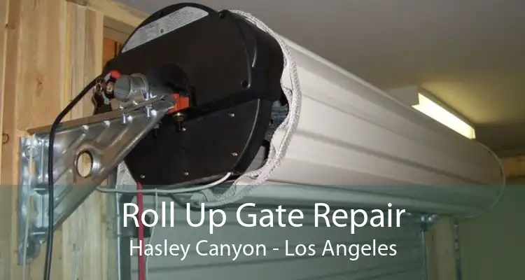 Roll Up Gate Repair Hasley Canyon - Los Angeles