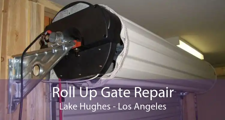 Roll Up Gate Repair Lake Hughes - Los Angeles