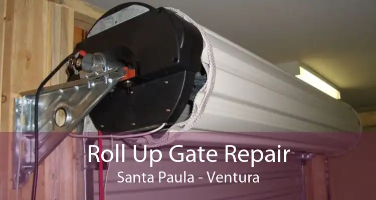 Roll Up Gate Repair Santa Paula - Ventura