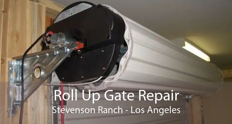 Roll Up Gate Repair Stevenson Ranch - Los Angeles