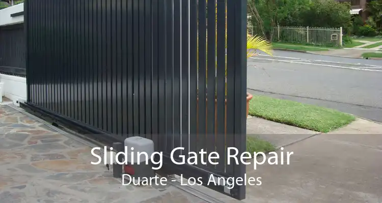 Sliding Gate Repair Duarte - Los Angeles