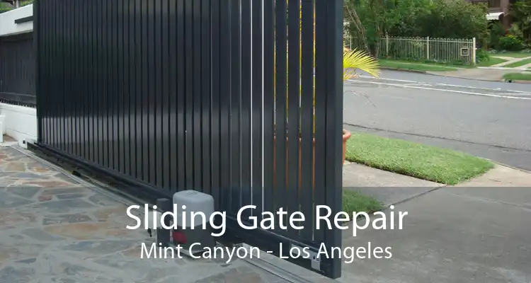 Sliding Gate Repair Mint Canyon - Los Angeles